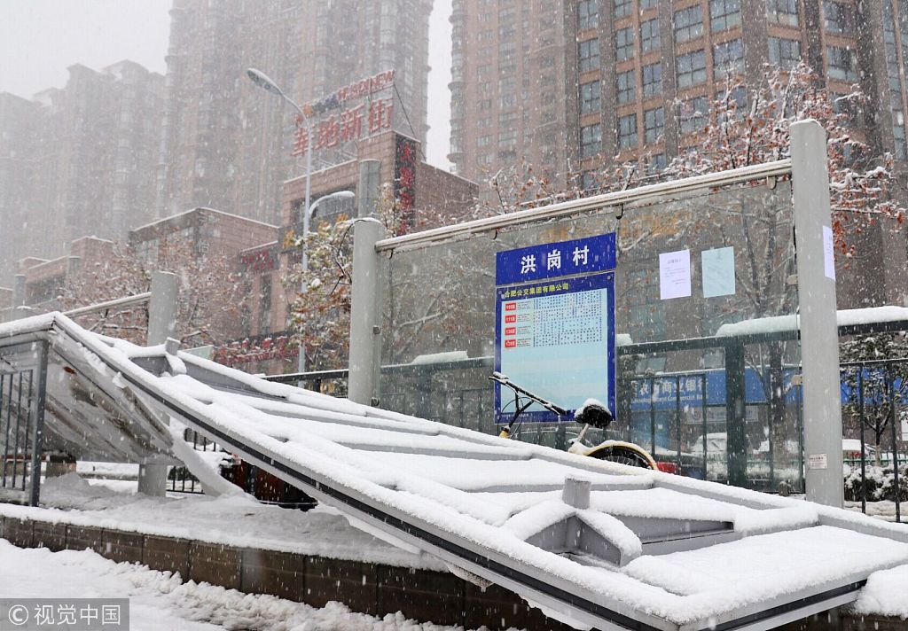 震惊！一场大雪引发的低价中标血案！