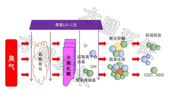 城市垃圾中转站除臭解决方案